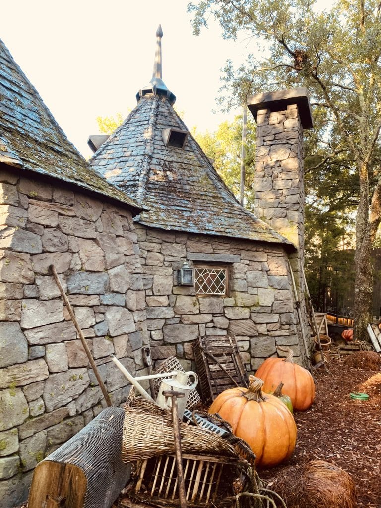 Hagrid's hut at Universal Orlando's Islands of Adventure which was the inspiration for Hagrid's Hut gingerbread house