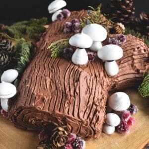 A chocolate yule log cake decorated with white candy mushrooms and chocolate frosting to look like a real tree log.