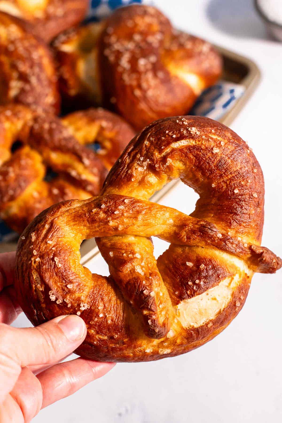 A hand holding a large Bavarian pretzel next to a baking sheet filled with more soft pretzels.