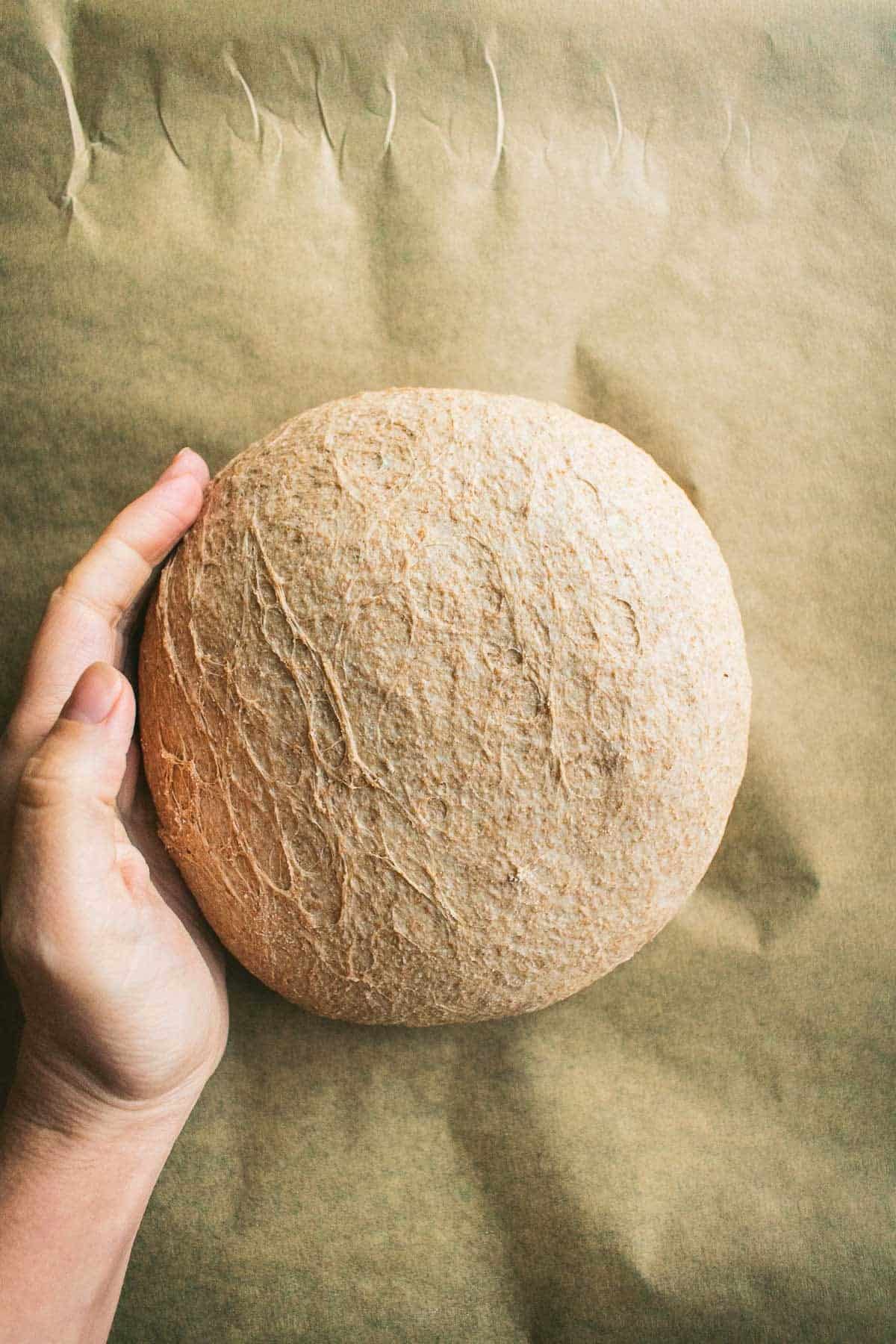 A hand shaping a light brown ball of bread dough on parchment paper.