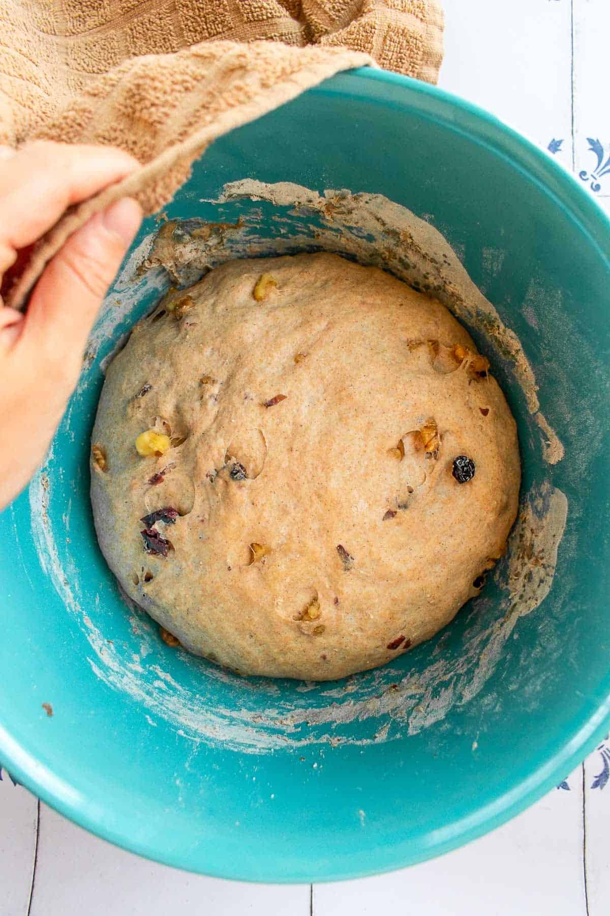 A large ball of risen bread dough in a blue mixing bowl. 