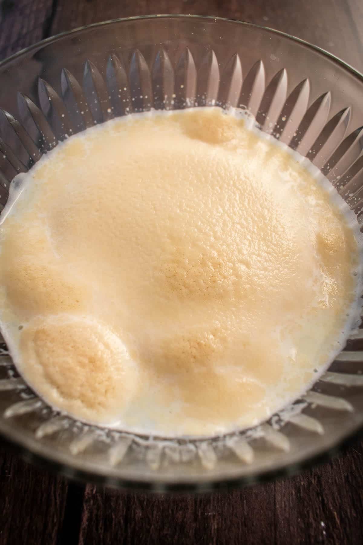 Frothy yeast and milk in a small bowl.