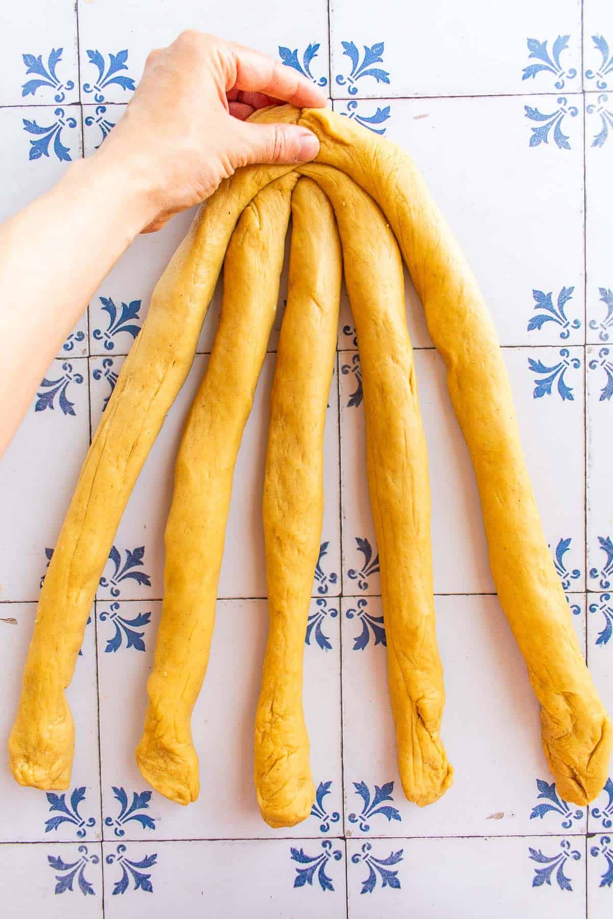 Five strands of bread dough pinched together at the top.