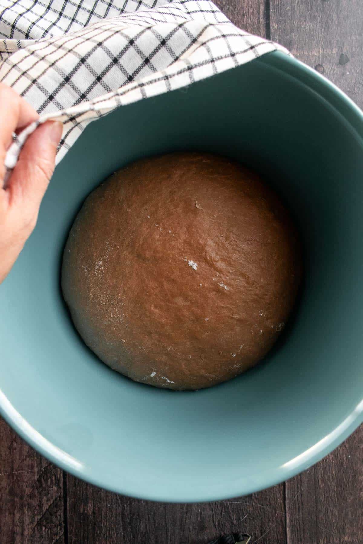 A risen ball of dark brown chocolate dough in a blue bowl.