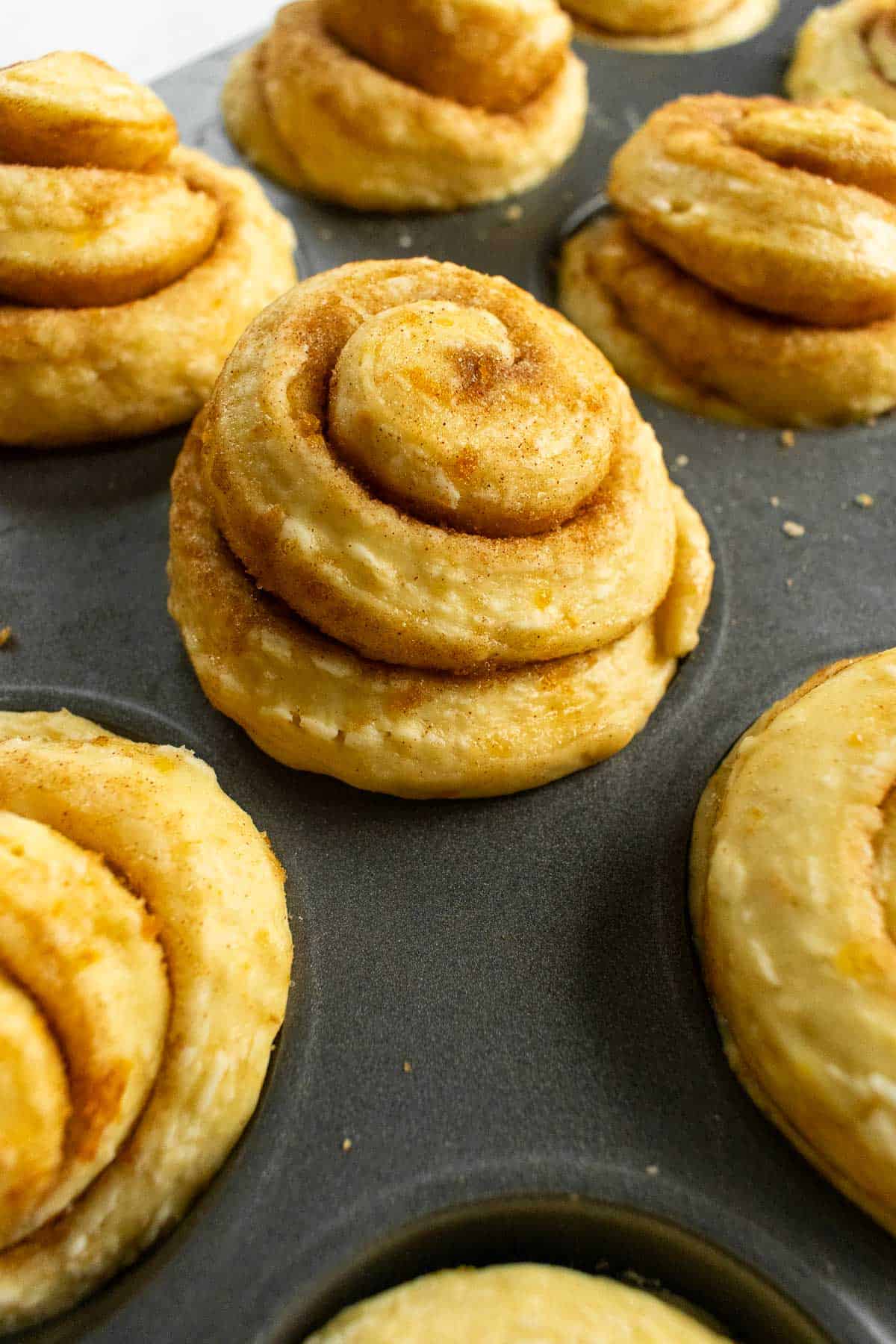 Puffed-up spirals of cinnamon sugar-coated dough in a muffin tin.