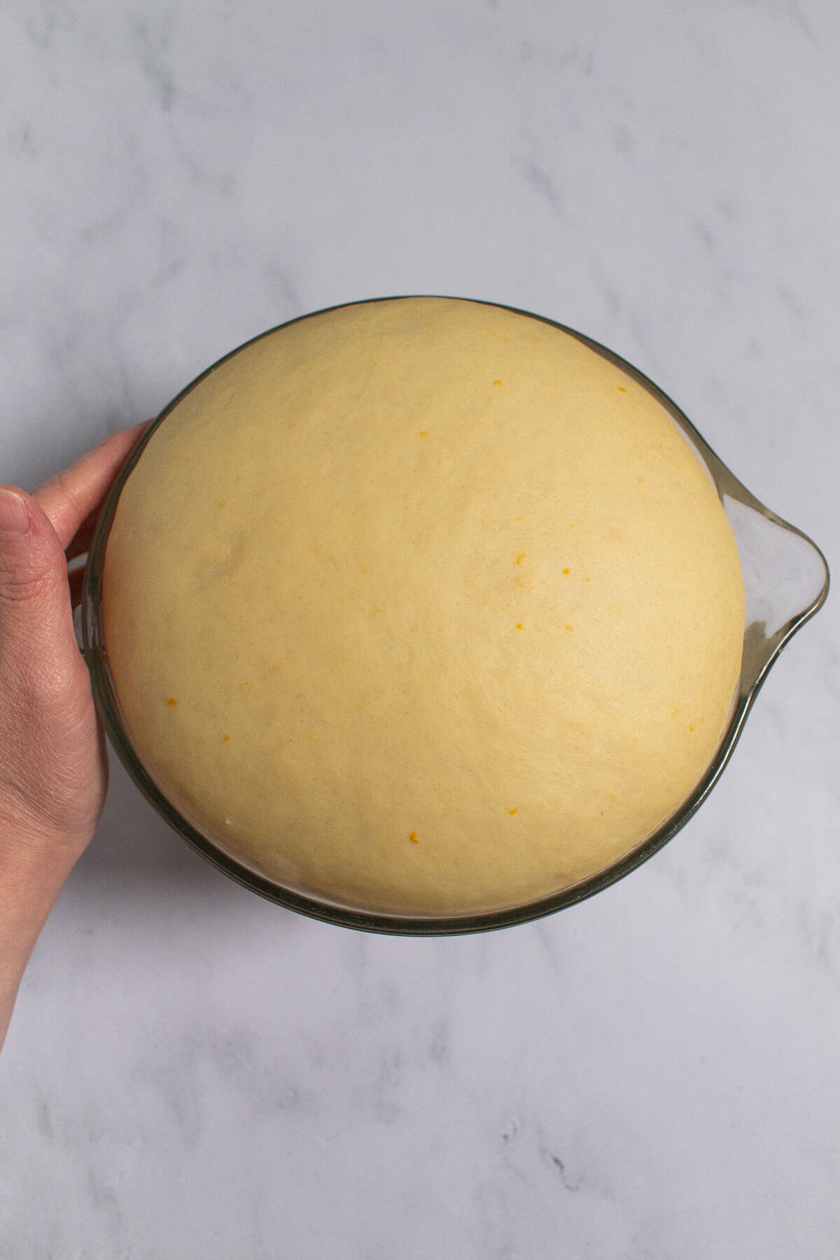 Risen enriched bread dough in a mixing bowl.