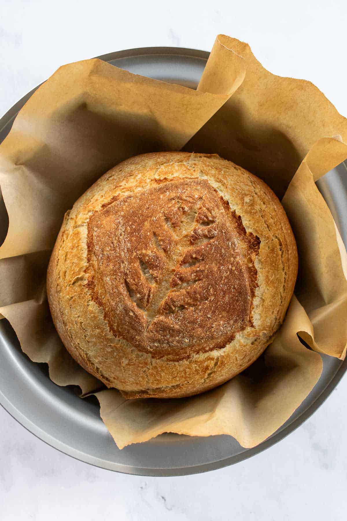 A baked loaf of artisan bread in a Dutch oven with a leaf scored on top.