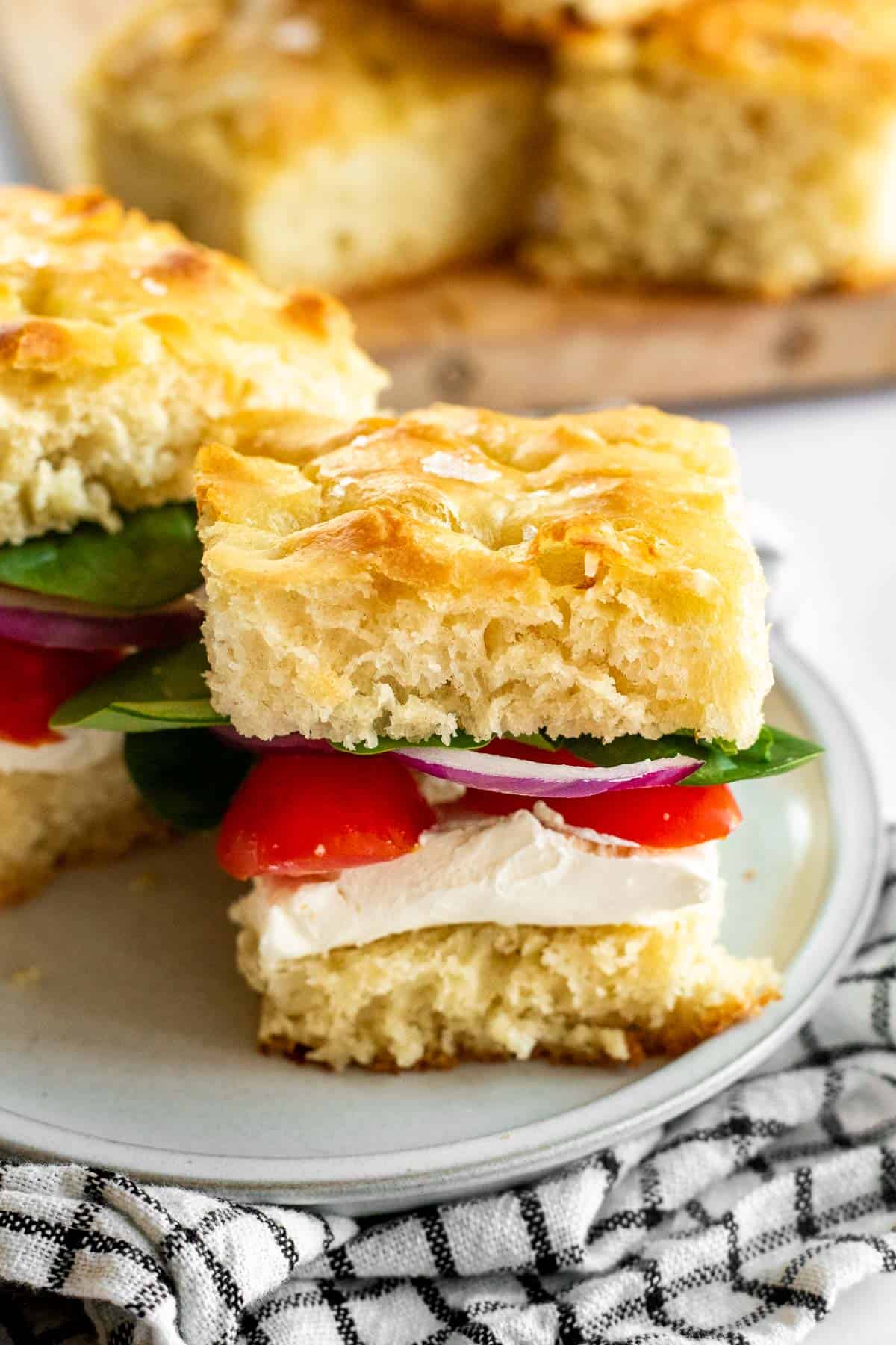 A sandwich made of focaccia, tomatoes, spinach, red onion, and a block of creamy cheese.