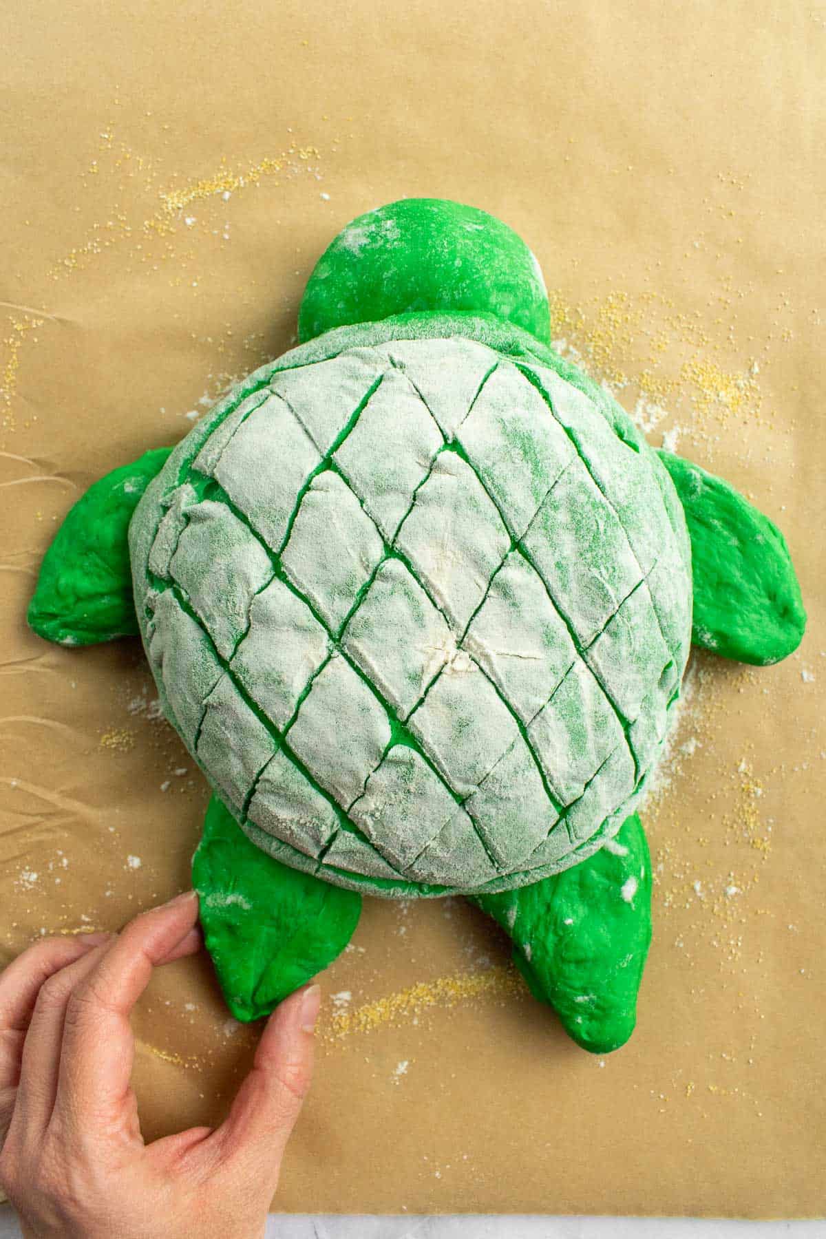 A hand shaping a loaf of green-dyed bread to look like a cartoon turtle.