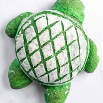 A green loaf of bread shaped and scored to look like a turtle.
