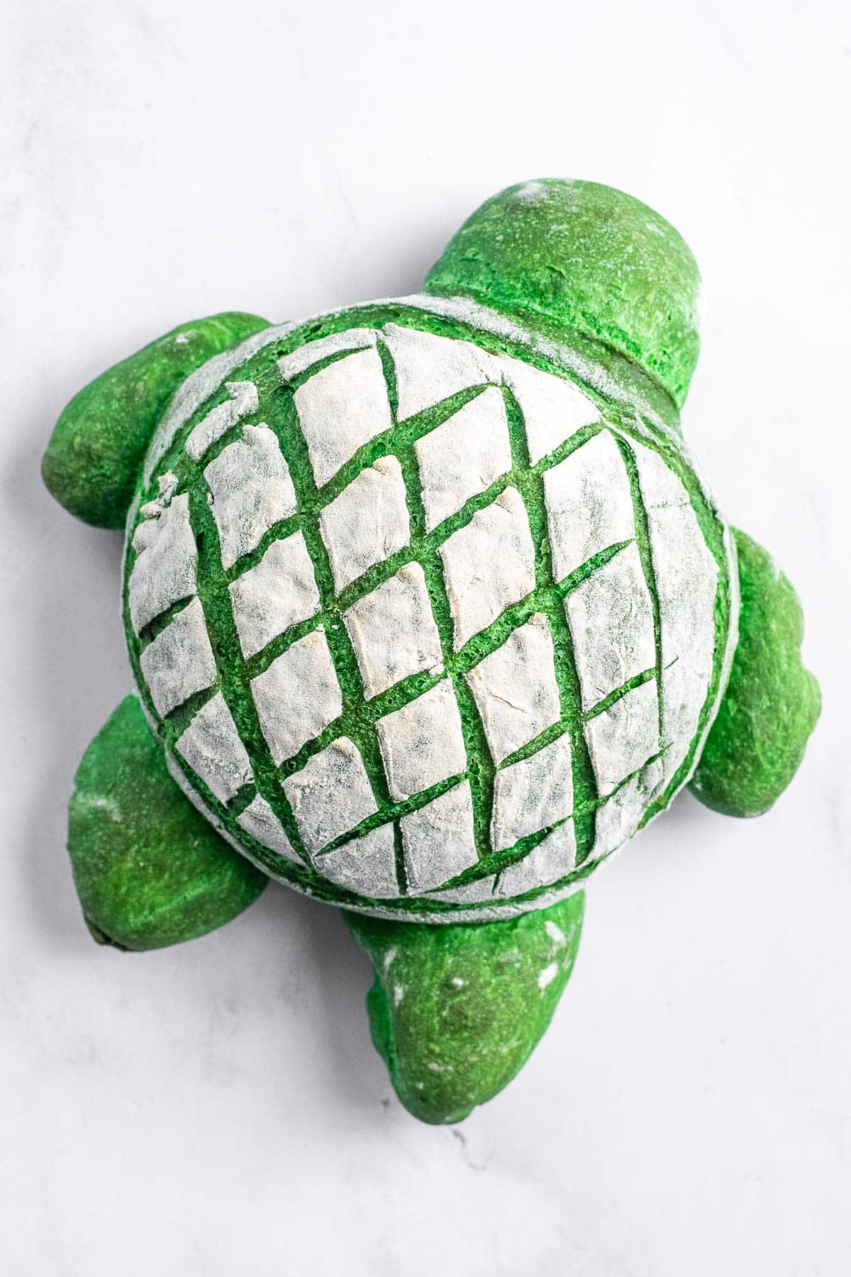 A green loaf of bread shaped and scored to look like a turtle. 