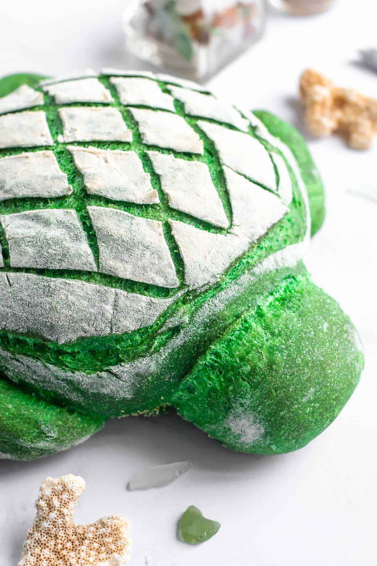 A green turtle shaped bread loaf on a light surface next to pieces of coral and sea glass.