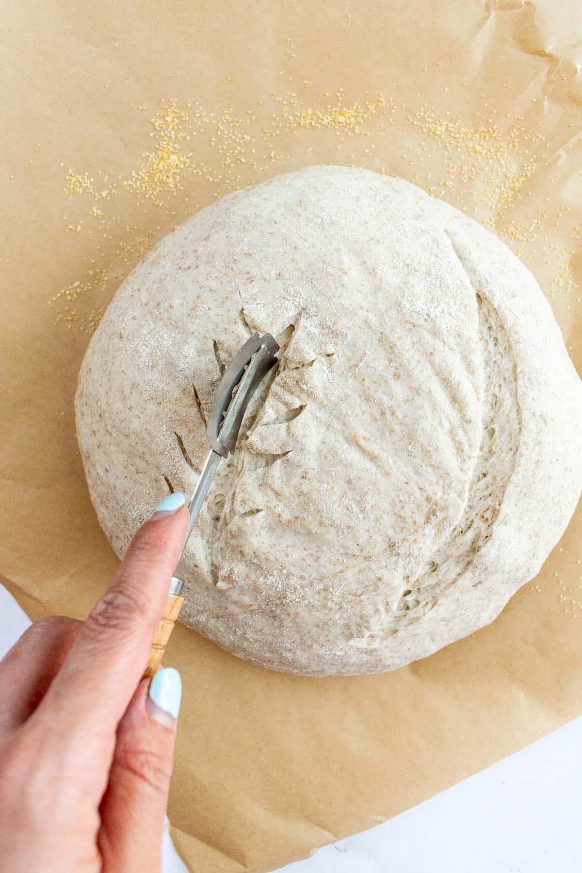 A hand scoring the top of a boule of rustic bread dough with a bread lame.
