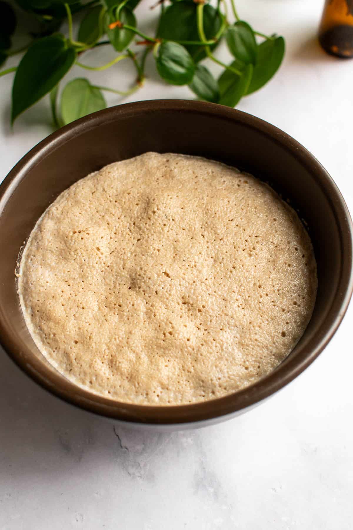 Activated, bubbly yeast in water in a brown bowl.