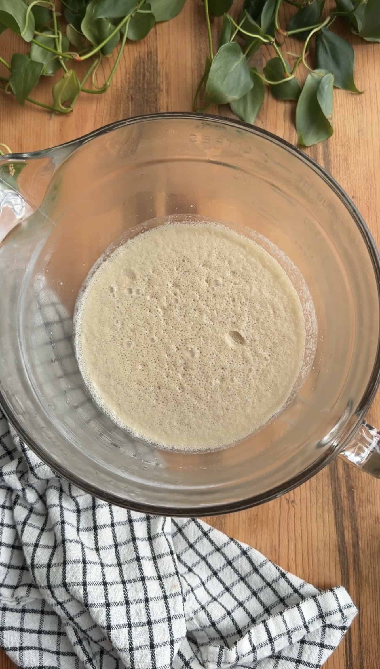 A glass mixing bowl with frothy, activated yeast in water.