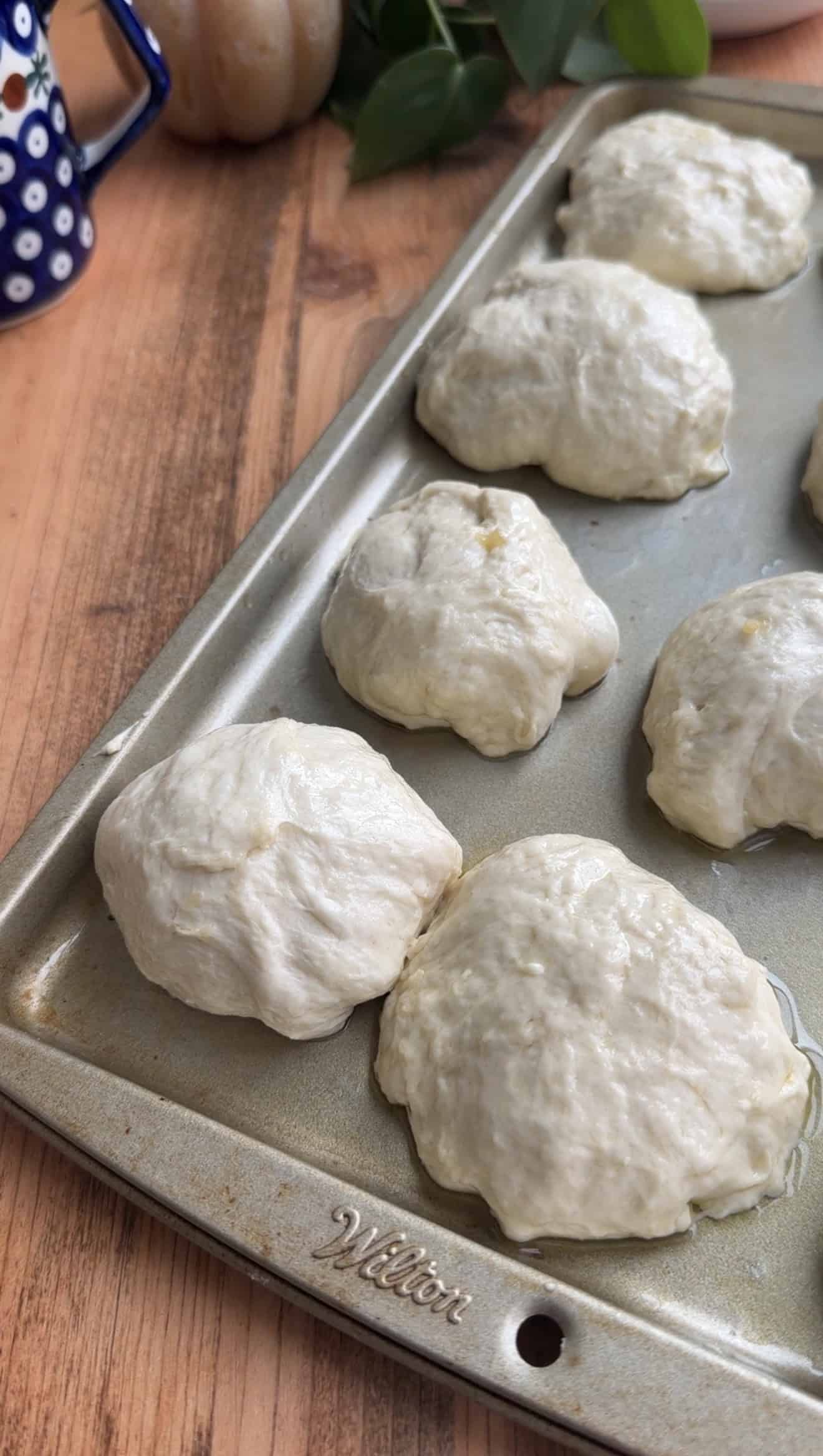 Half a dozen balls of focaccia dough sitting on a baking sheet greased with oil.
