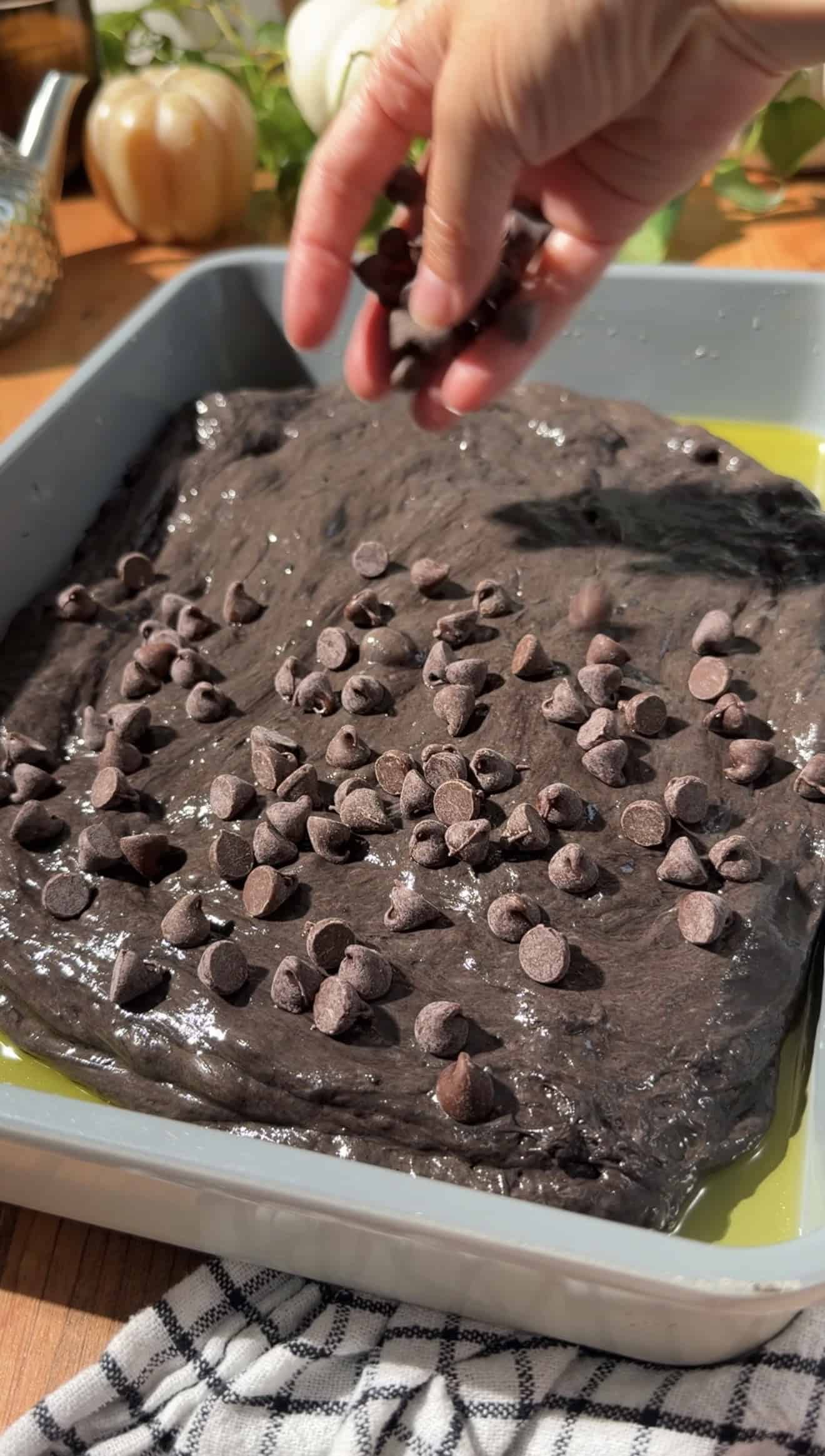 A hand sprinkling chocolate chips onto chocolate focaccia dough in a greased baking dish.