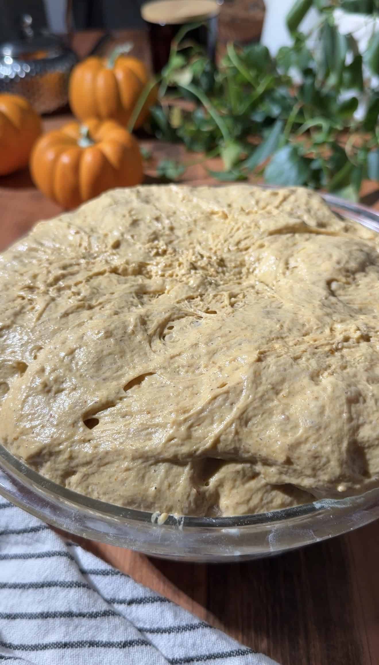 A bubbly, sticky focaccia dough risen in a glass mixing bowl near pumpkins on a wood table.