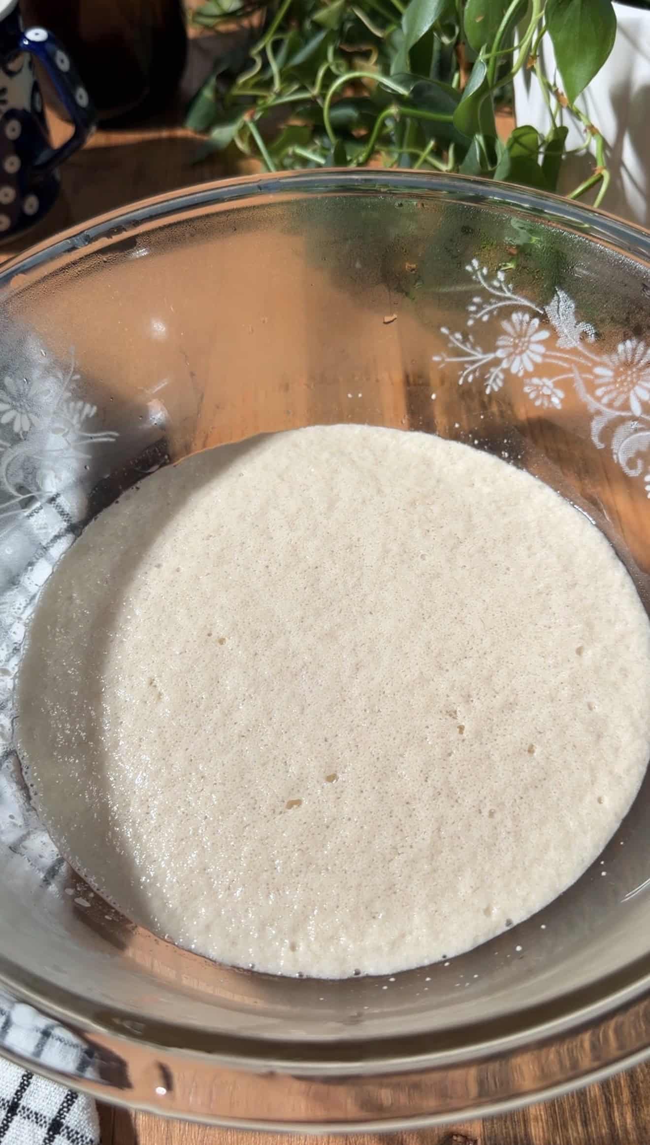 Frothy yeast in a bowl of water on a wood table.