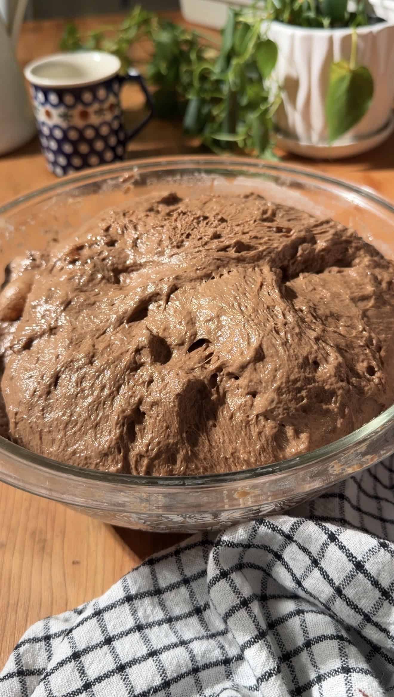 A bowl of risen, sticky chocolate bread dough on a wood table.